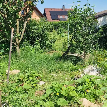 V Rodinnem Dome Severni Homestay